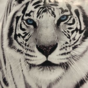 Meet your Posher, Debra